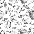 Seamless of hand drawn apple. Vintage sketch style illustration. Royalty Free Stock Photo