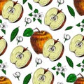 Seamless of hand drawn apple. Vintage sketch style illustration. Organic eco food. Whole , sliced pieces half,leaves and Royalty Free Stock Photo