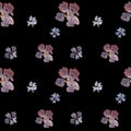 Seamless hand drawn watercolor floral pattern on black background Royalty Free Stock Photo