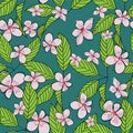 Seamless hand drawn cherry blossom vector pattern. Pink flowers and green leaves with outline on green background. Wallpaper, Royalty Free Stock Photo