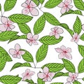 Seamless hand drawn cherry blossom vector pattern. Pink flowers and green leaves with outline on white background. Wallpaper, Royalty Free Stock Photo