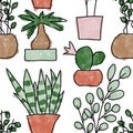 Seamless hand drawn pattern with houseplants, indoor plants flowers in pots, green leaves potted herbs. Urban jungle Royalty Free Stock Photo