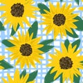 Seamless hand drawn pattern with summer natural sunflowers flowers on blue plaid background. Bright vibrant summer Royalty Free Stock Photo