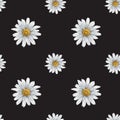 Seamless hand drawn pattern with white chamomiles. Flower background for textiles, fabrics, banner, wrapping paper and other