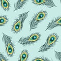 Seamless hand drawn peacock feathers pattern. Royalty Free Stock Photo