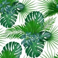 Seamless hand drawn realistic botanical exotic vector pattern with green palm leaves