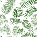 Seamless hand drawn tropical pattern with palm leaves, jungle exotic leaf on white background