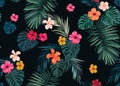 Seamless hand drawn tropical vector pattern with bright hibiscus flowers and exotic palm leaves on dark background. Royalty Free Stock Photo