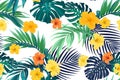 Seamless hand drawn tropical vector pattern with bright hibiscus flowers and exotic palm leaves. Royalty Free Stock Photo