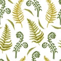 Seamless hand drawn watercolor pattern with green wild herbs ferns leaves in wood woodland forest. Organic natural