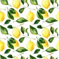 Seamless hand rawn watercolor lemon pattern on white background. Botanical illustration of yellow citrus fruits. Ideal