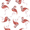 Seamless watercolor illustration of Flamingo in white background.