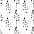 Seamless herbal pattern