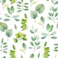 Seamless herbal pattern