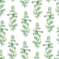 Seamless herbal pattern