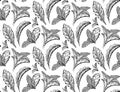 Seamless herbal pattern with stevia and peppermint plants. Nature and naturalness. Hand drawn background with strokes. Vector