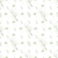 Seamless herbal pattern with watercolor dill for kitchen decor, textile, fabric