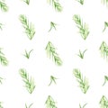 Seamless herbal pattern with watercolor green flavouring on white rosemary for souvenirs, wrapping paper, decor,textile