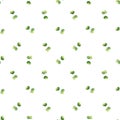 Seamless herbal pattern with watercolor green flavouring sprout, micro greens in polka dot style for textile and wallpapers design