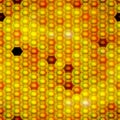 Seamless honeycomb