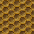 Seamless honeycomb bee pattern, yellow, brown, gold vector pencil art texture repeat print design. Honey geometric shape Royalty Free Stock Photo