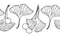 Seamless horizontal banner made of leaves and berries of the medicinal Ginkgo Biloba tree. hand drawn in sketch style black Royalty Free Stock Photo