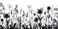 Seamless horizontal banner with wild flowers and thistle silhouettes. Royalty Free Stock Photo
