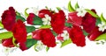 Seamless horizontal border with carnations and