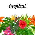 Seamless horizontal border with tropical plants, leaves and flowers. Royalty Free Stock Photo