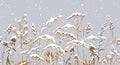 Seamless border with Meadow Plants under the Snowfall