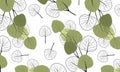 Seamless horizontal pattern with branches of eucalyptus on a flat style and black and white contours of leaves . Vector