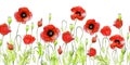 Seamless horizontal pattern. Field poppies of different angles in retro style, hand-made graphics, watercolor