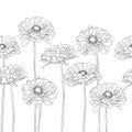 Seamless horizontal pattern with gerbera flowers Royalty Free Stock Photo