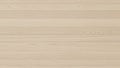 Seamless Horizontal Pattern of Light Beige Wood Planks with Subtle Grain Texture and Fine Lines Keywords: wood Royalty Free Stock Photo