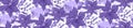 Seamless horizontal pattern with purple flowers clematis on white background