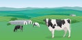 Seamless horizontal rural landscape, fields, dairy farm, cows. Vector background. Royalty Free Stock Photo