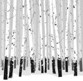 Seamless horizontal vector background with trees Royalty Free Stock Photo