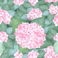 Seamless hydrangea flower pattern