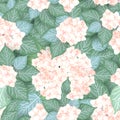 Seamless hydrangea flower pattern