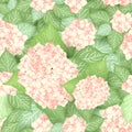 Seamless hydrangea flower pattern