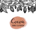 Seamless illustration of cocoa.