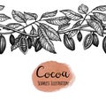 Seamless illustration of cocoa.