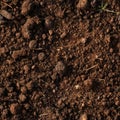 A seamless pattern of fertile soil