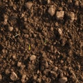 A seamless pattern of fertile soil