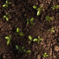 A seamless pattern of fertile soil with some green sprouts