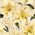 Seamless Illustration Of Yellow Lilies On Beige Background