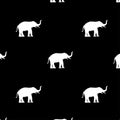 Seamless image white elephant Asia standing isolated on black background, graphics design