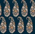 Seamless Indian paisley pattern Royalty Free Stock Photo