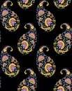 Seamless Indian paisley pattern with black background Royalty Free Stock Photo