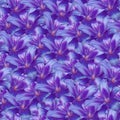 Seamless infinite background floral. Purple-blue flowers lily. For design and printing. Background of natural flowers.